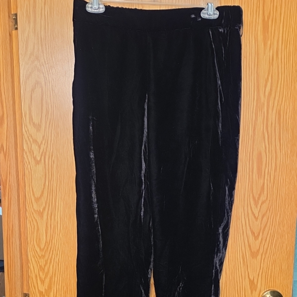 J.Crew velvet pants size 6